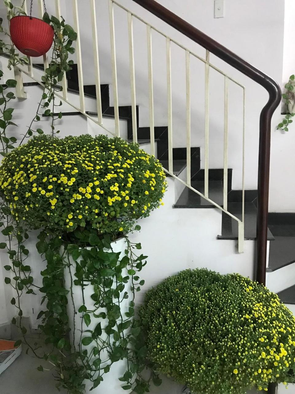 Vanapartment Apartamento *